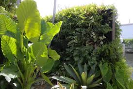 beat365官网 宿迁市捷京园林绿化工程
